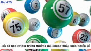 Đây là cách giúp bạn tối đa hóa cơ hội trúng thưởng mà không phải chọn quá nhiều số