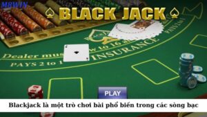 Blackjack là một trò chơi bài phổ biến trong các sòng bạc trên toàn thế giới