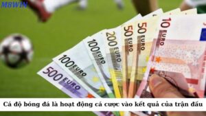 Cá độ bóng đá là hoạt động cá cược vào kết quả của một trận đấu bóng đá