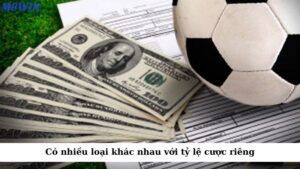 Có nhiều loại khác nhau, mỗi loại có đặc điểm và tỷ lệ cược riêng