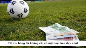 Tài xỉu bóng đá không chỉ có một loại kèo duy nhất