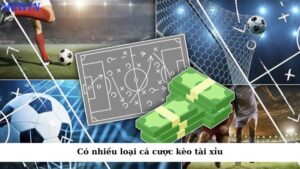 Kèo tài xỉu vừa tính tổng số bàn thắng của trận đấu và còn có nhiều loại cược tài xỉu khác