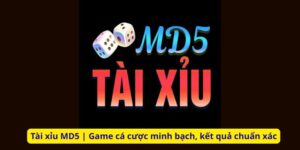 Tài xỉu MD5 | Game cá cược minh bạch, kết quả chuẩn xác